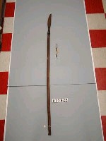 藏品(槍)的圖片